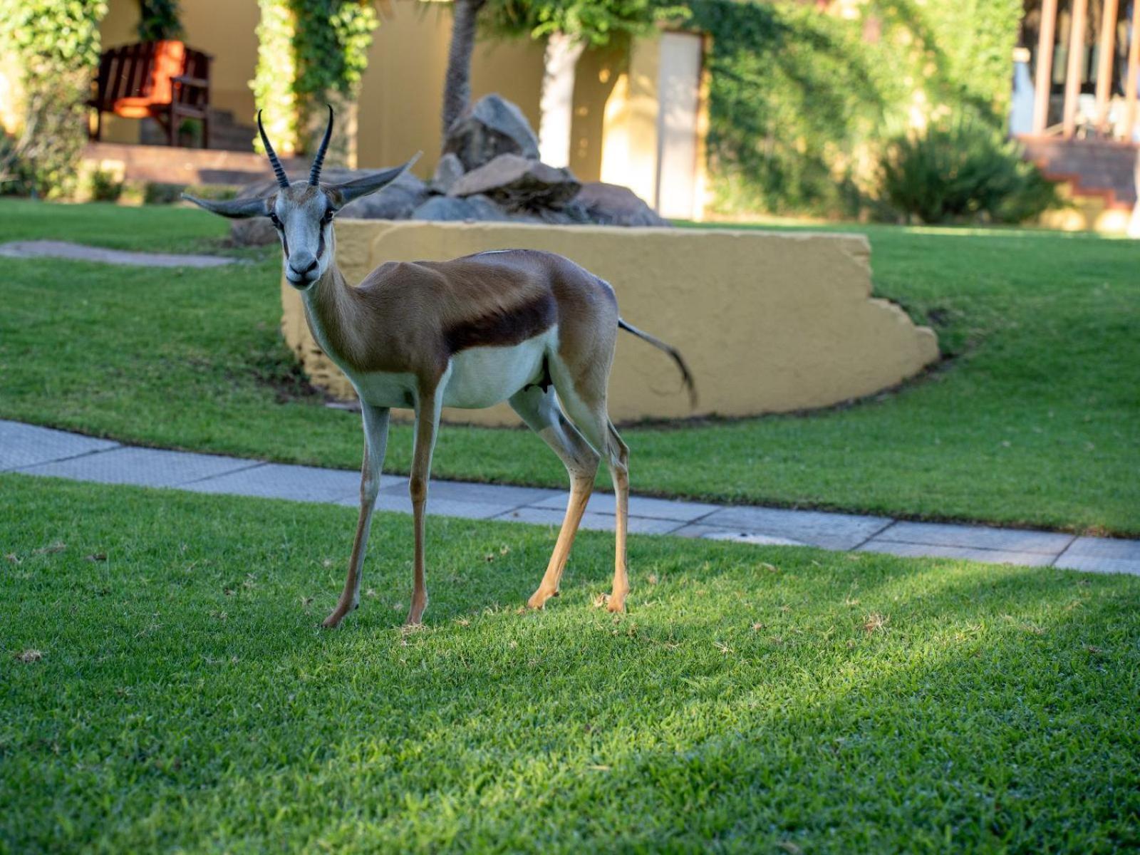 Sunriver Kalahari Lodge Riverside Stay In آبنغتون المظهر الخارجي الصورة